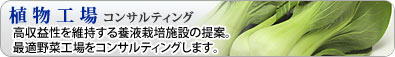 植物工場コンサルティング